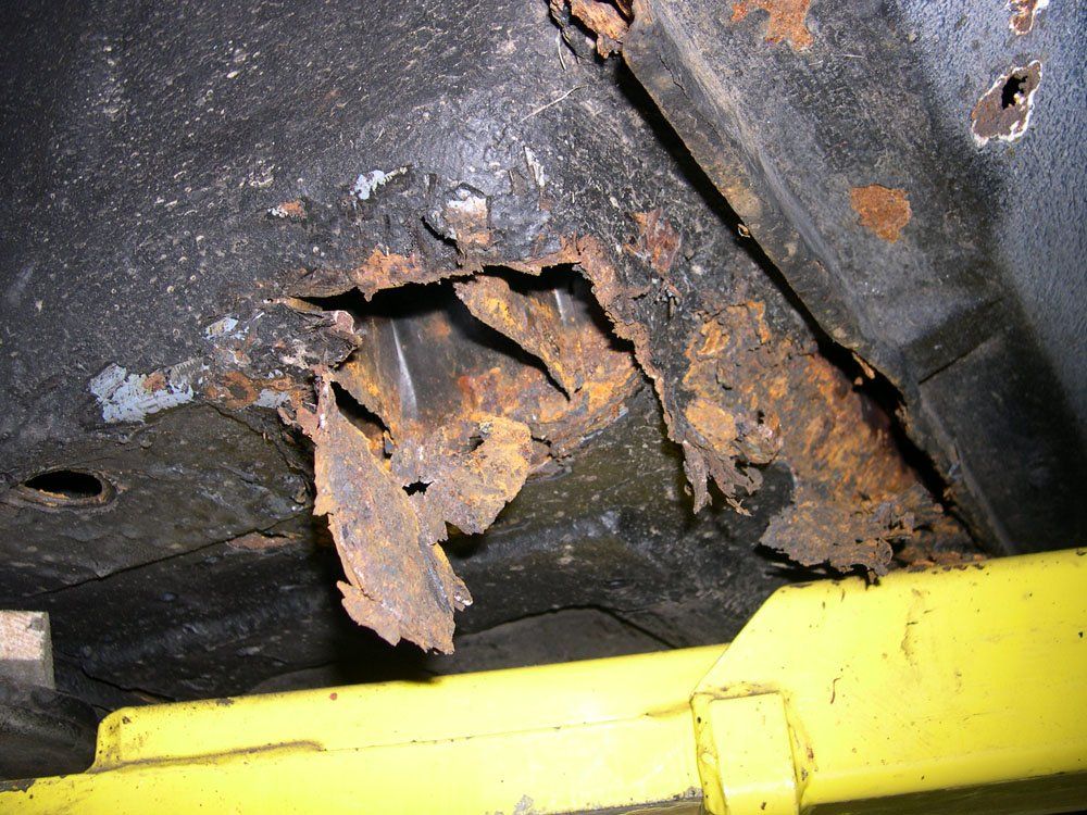 Jaguar XJS rust
